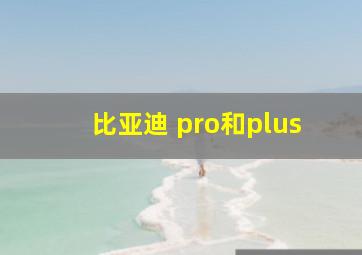 比亚迪 pro和plus